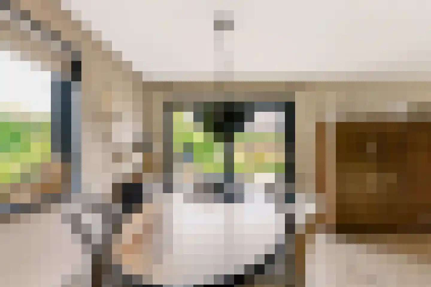 De Zeilen 65 Buitenpost thumbnail 17
