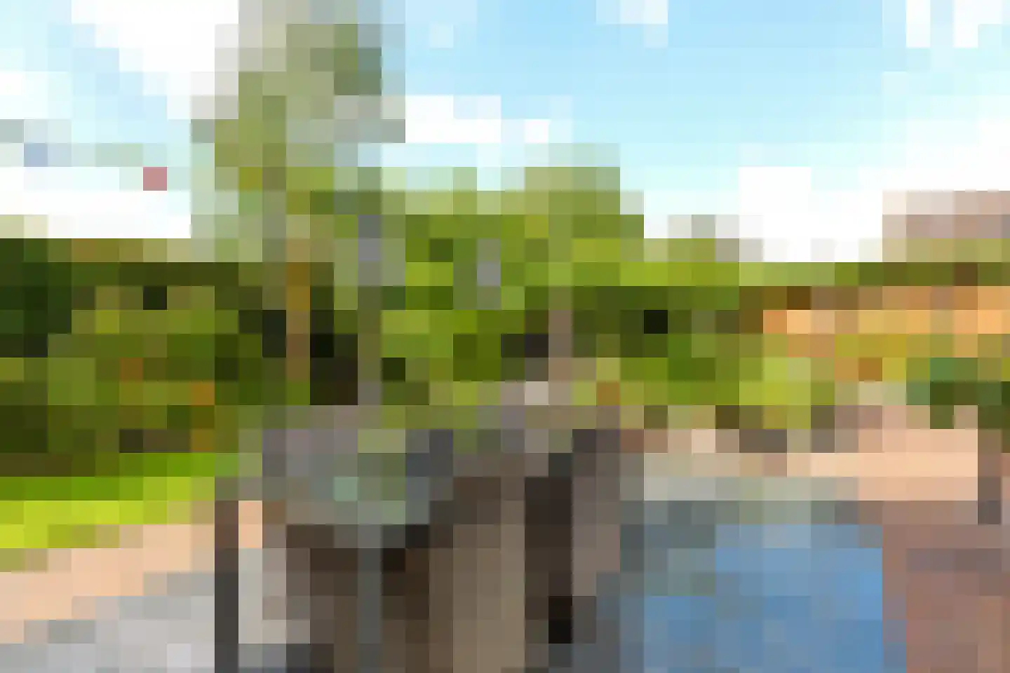 De Zeilen 65 Buitenpost foto 3