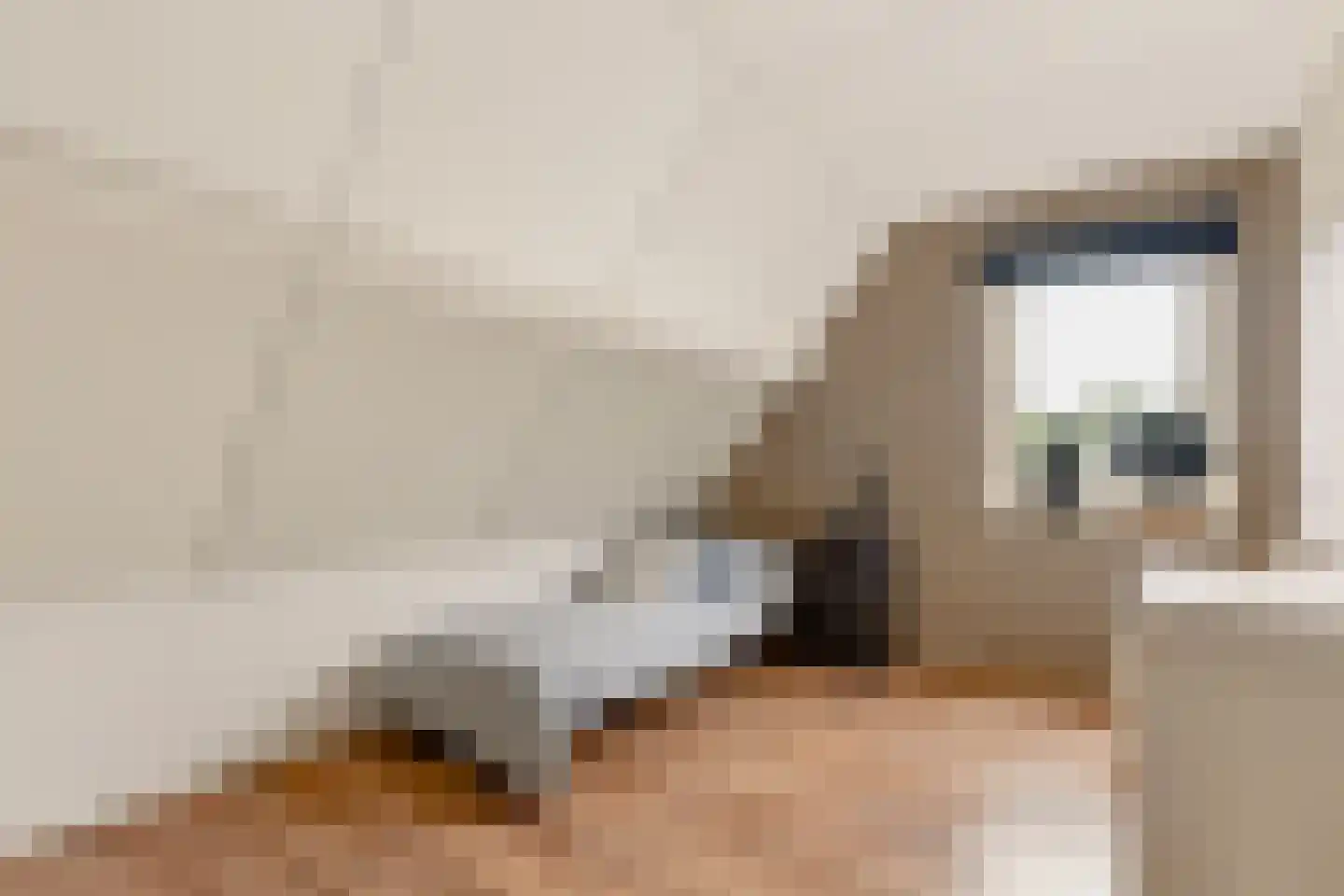 De Zeilen 65 Buitenpost thumbnail 32