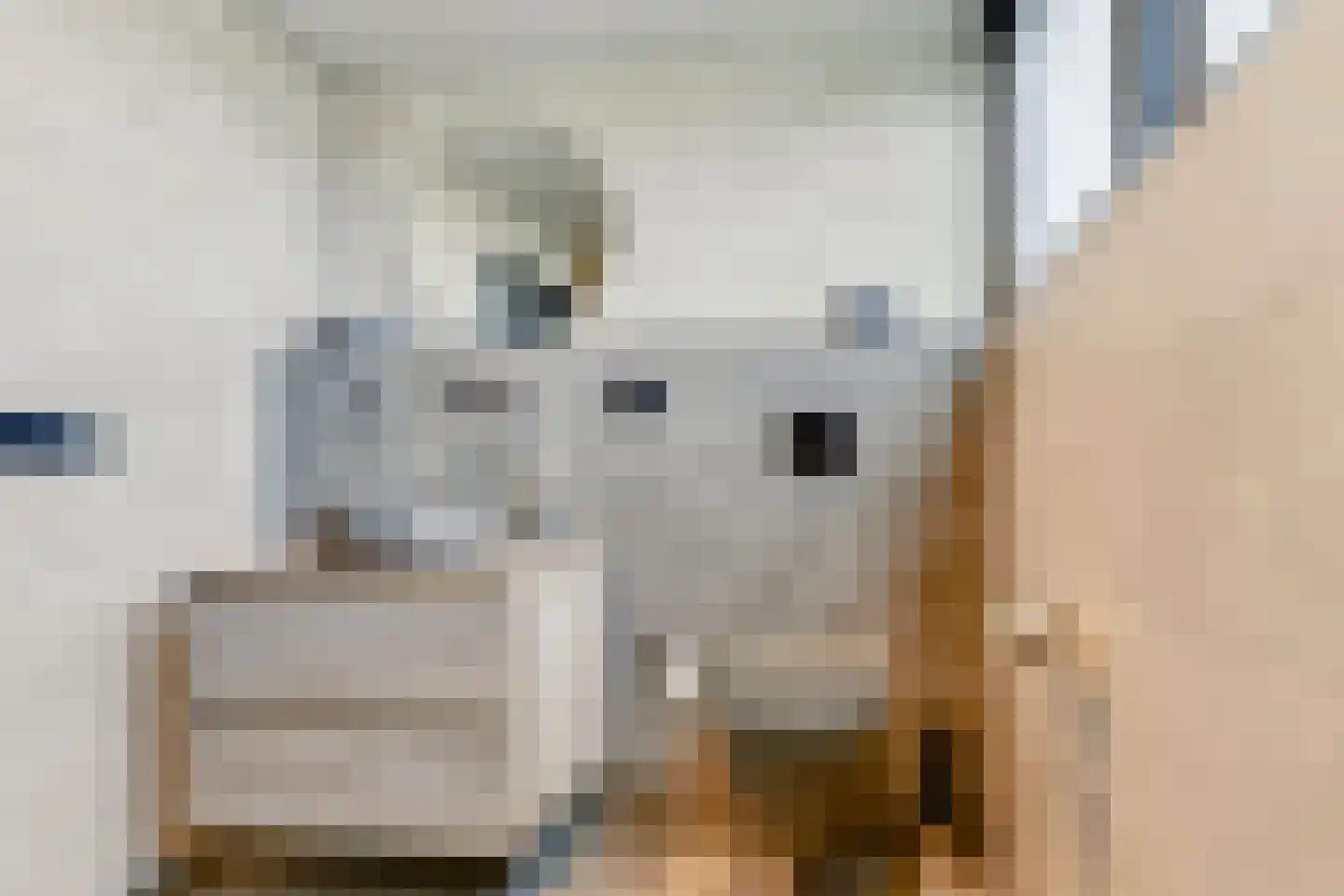 De Zeilen 65 Buitenpost thumbnail 39