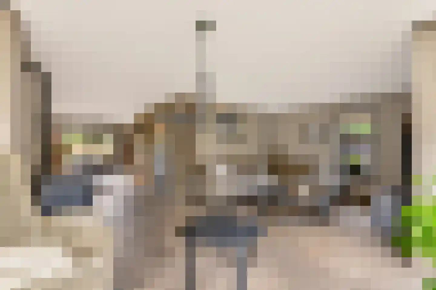De Zeilen 65 Buitenpost thumbnail 4