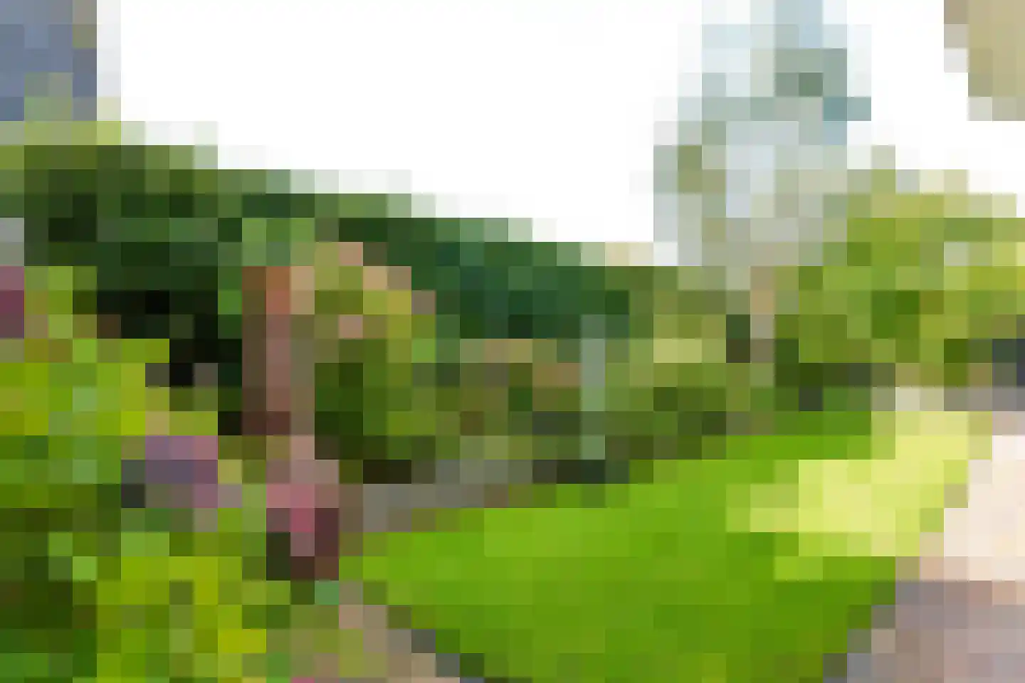 De Zeilen 65 Buitenpost thumbnail 41