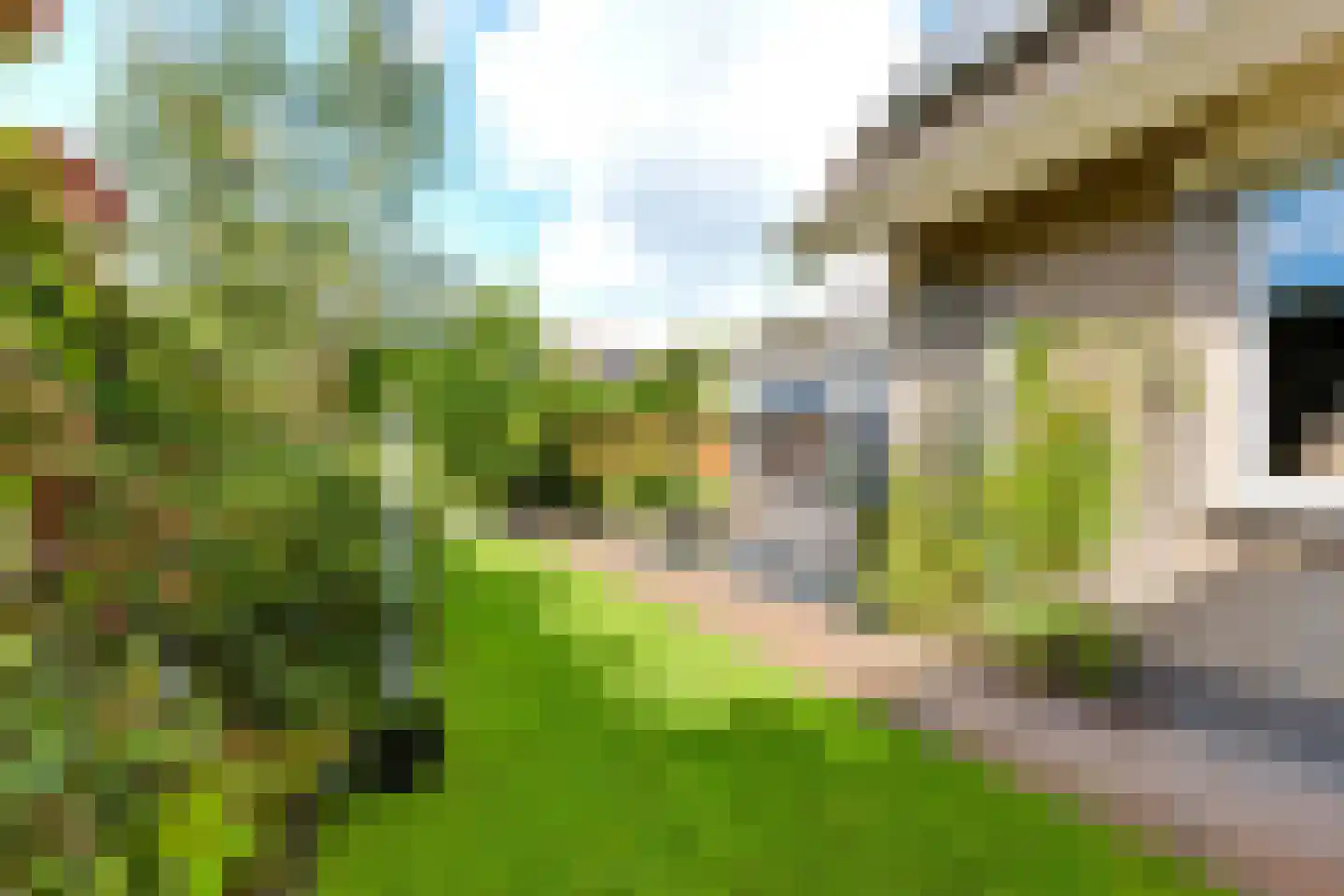 De Zeilen 65 Buitenpost thumbnail 42