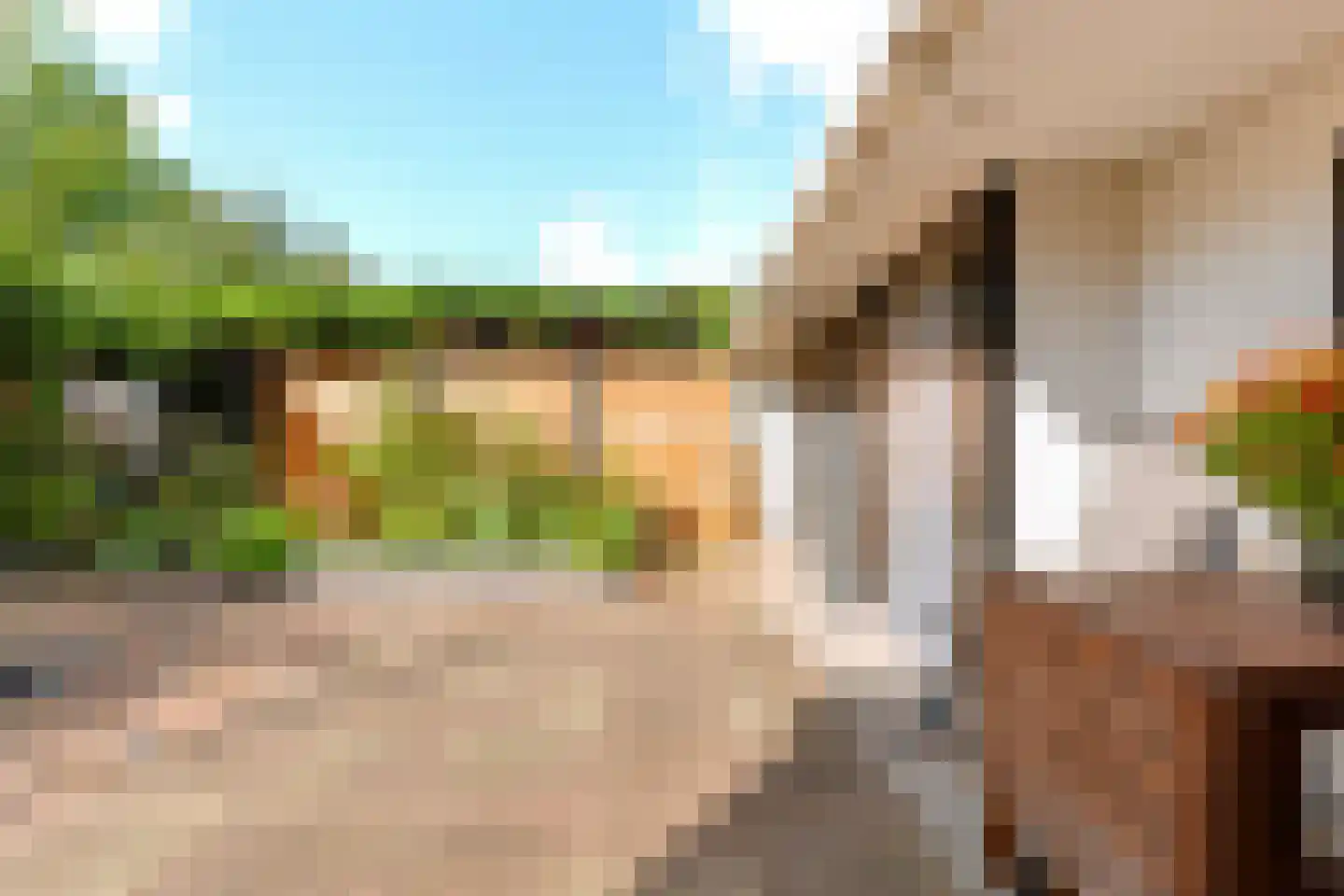 De Zeilen 65 Buitenpost thumbnail 43