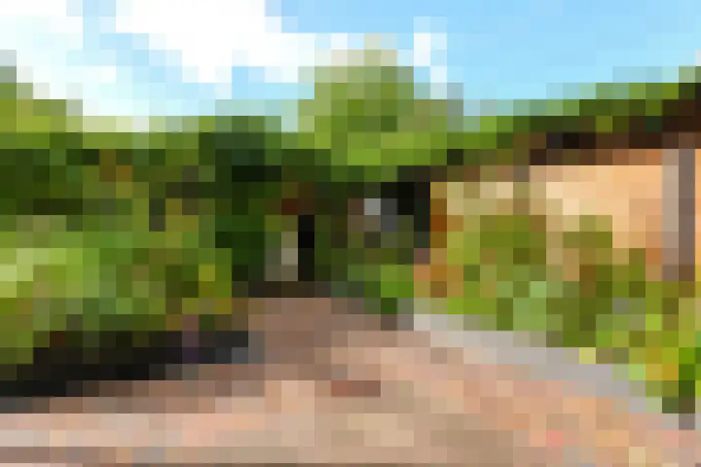 De Zeilen 65 Buitenpost thumbnail 44