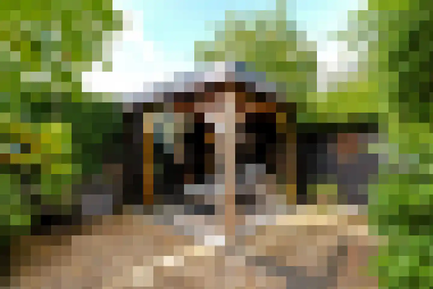 De Zeilen 65 Buitenpost thumbnail 45