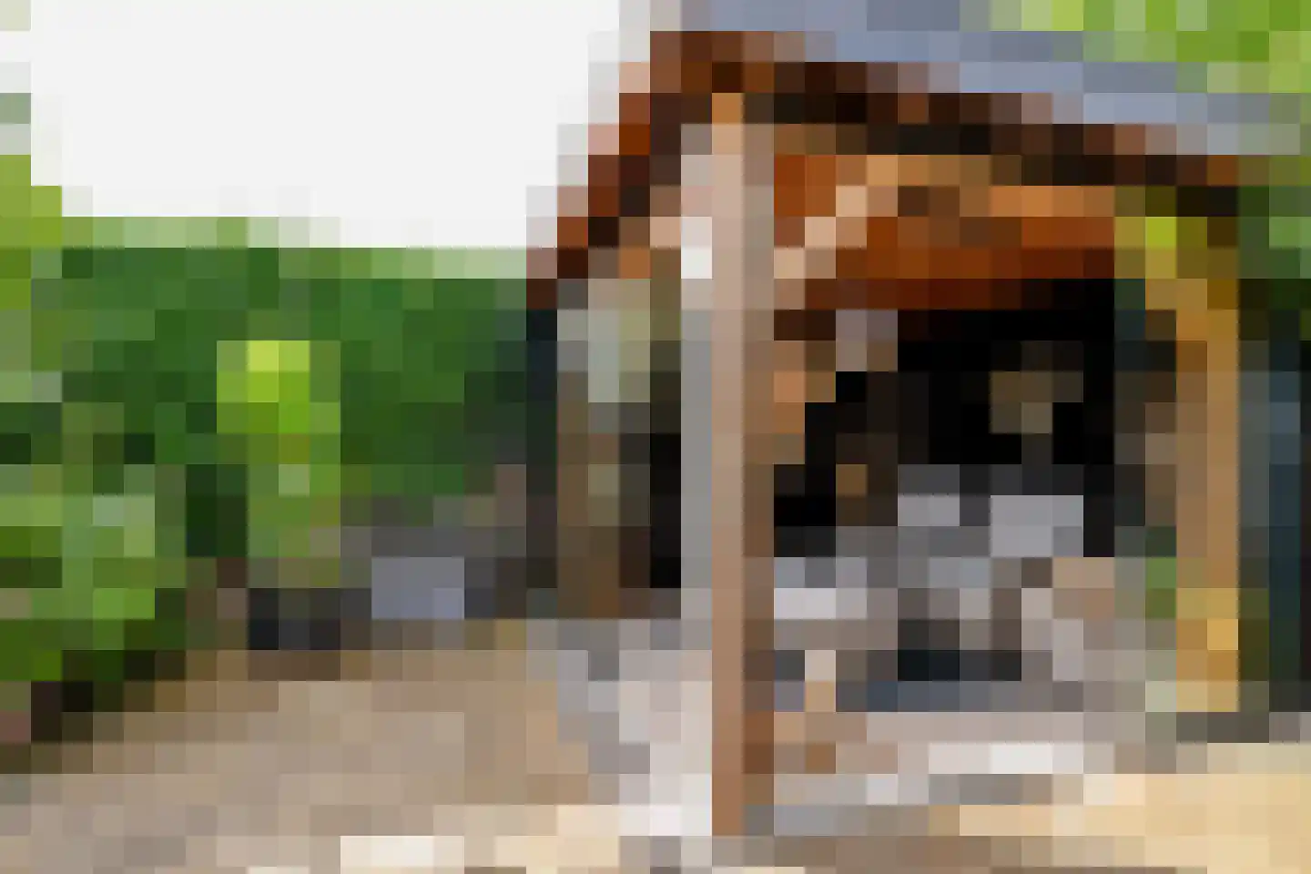 De Zeilen 65 Buitenpost thumbnail 46