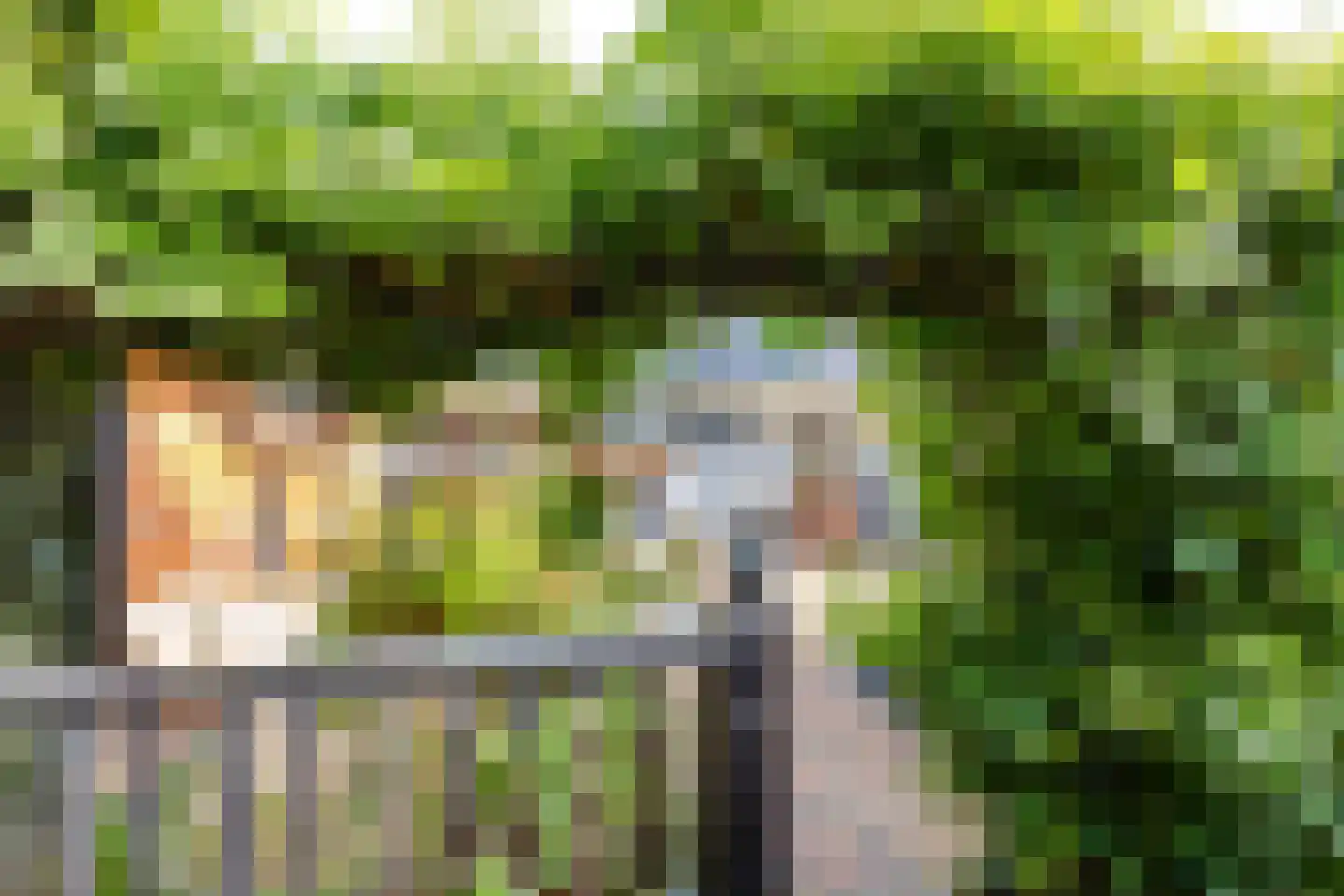 De Zeilen 65 Buitenpost thumbnail 47