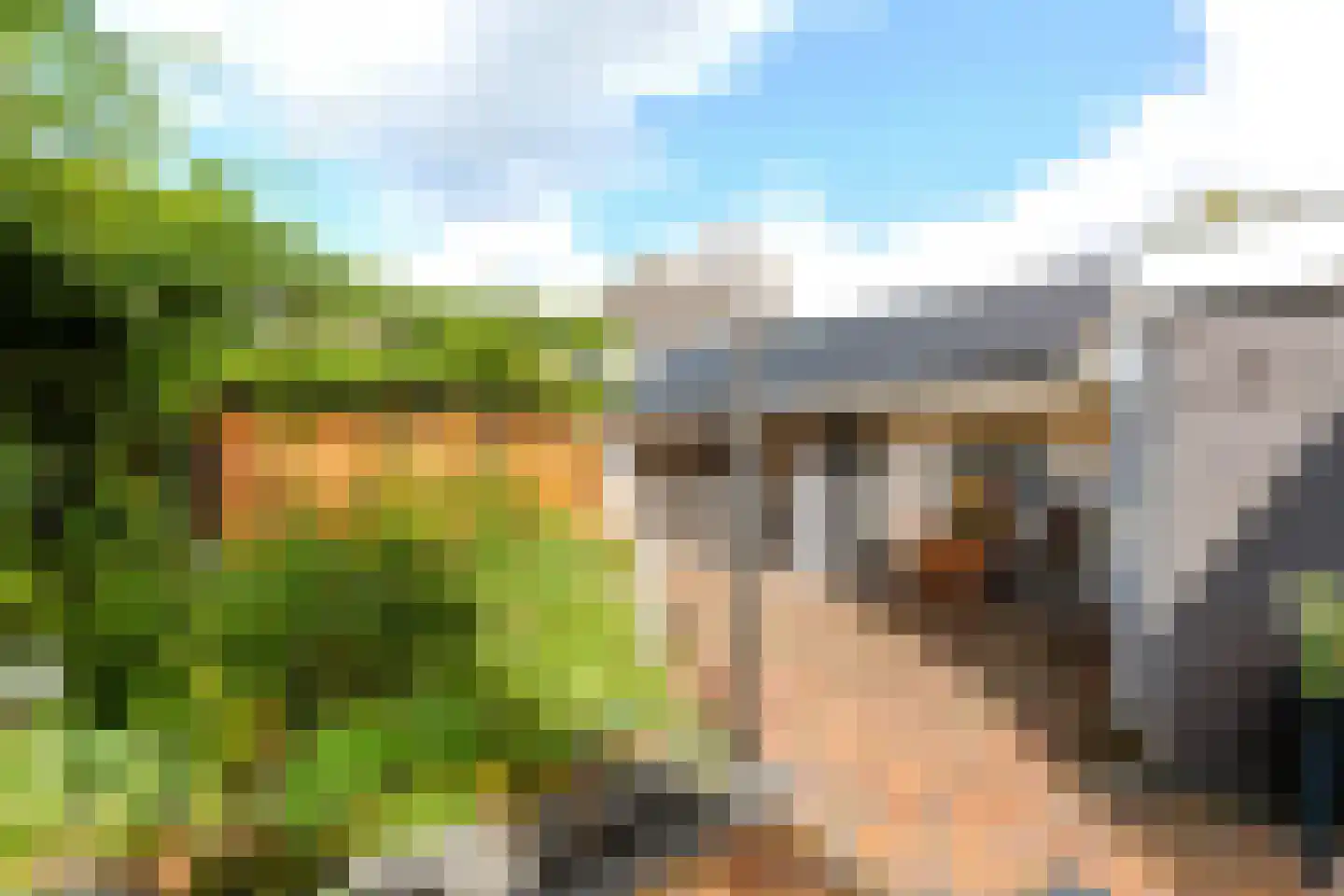 De Zeilen 65 Buitenpost thumbnail 48