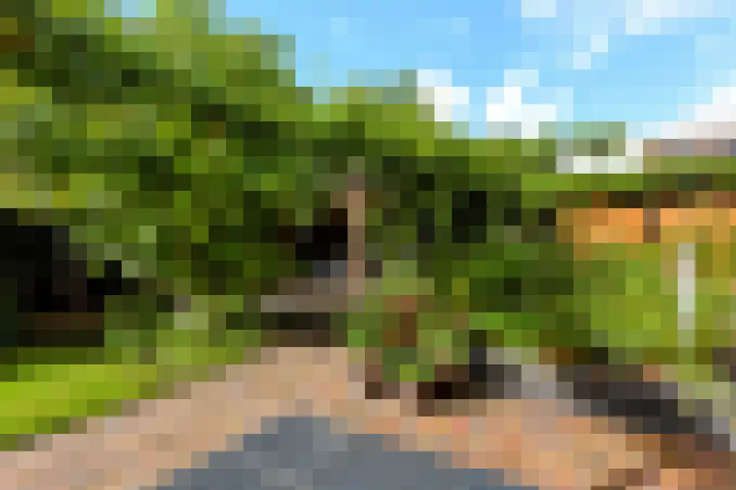 De Zeilen 65 Buitenpost thumbnail 50