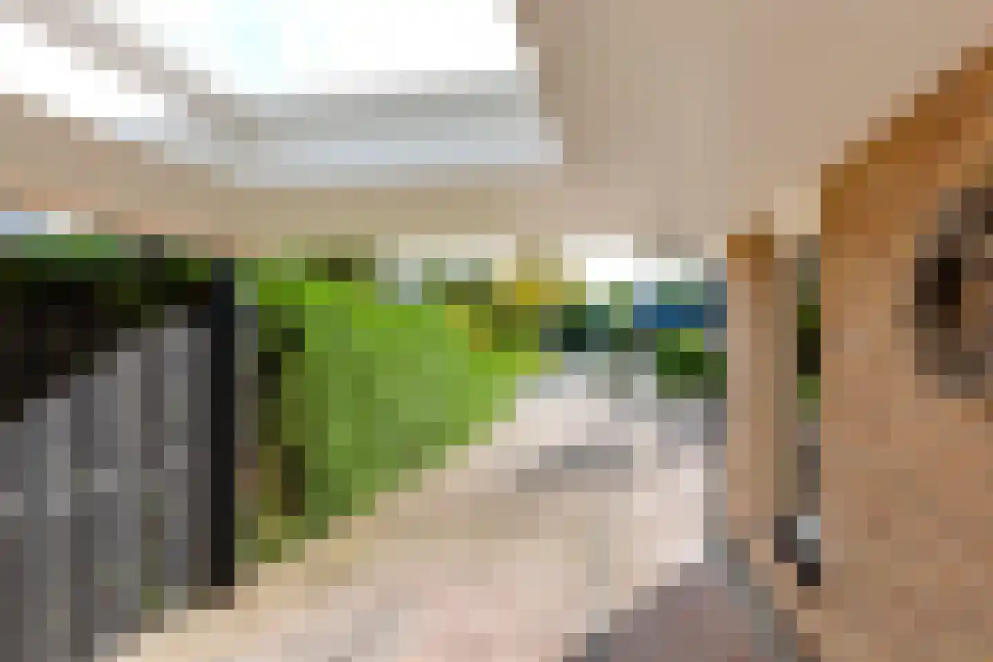 De Zeilen 65 Buitenpost thumbnail 52