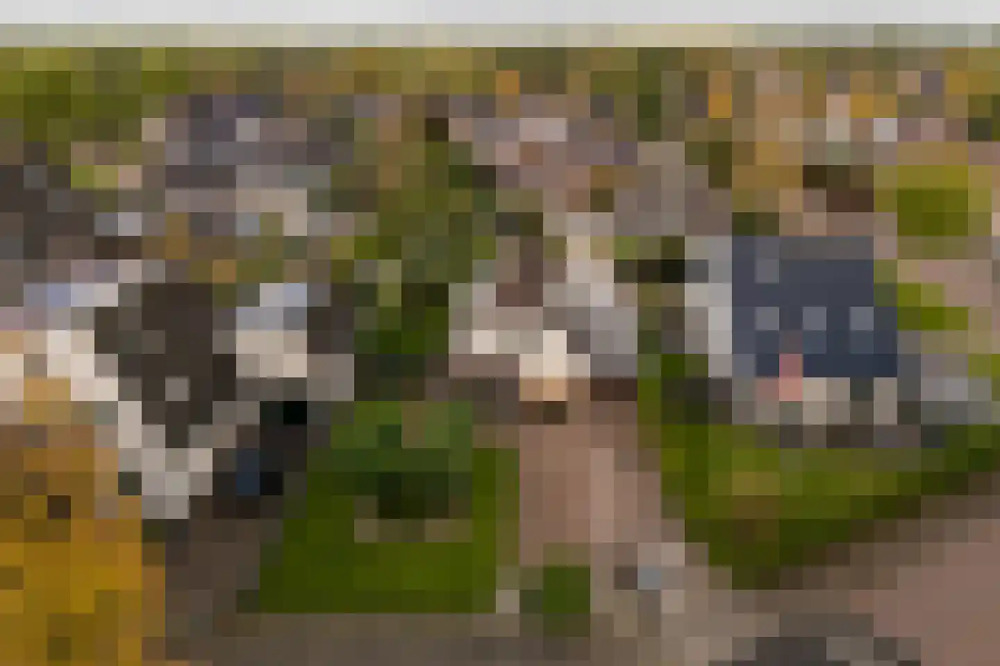 De Zeilen 65 Buitenpost thumbnail 58