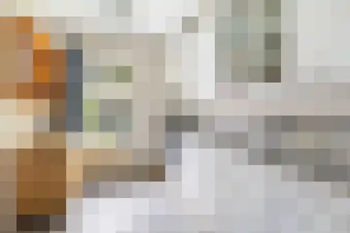 De Zeilen 67 Buitenpost thumbnail 14