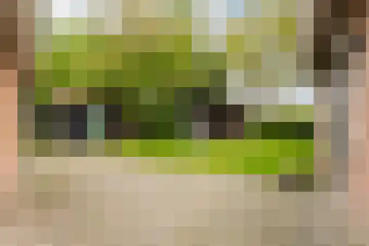 De Zeilen 67 Buitenpost thumbnail 17