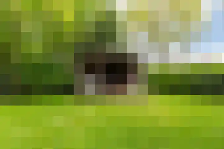 De Zeilen 67 Buitenpost thumbnail 18