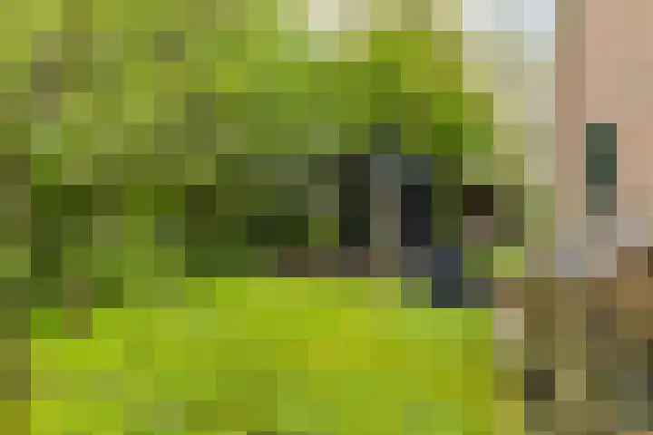 De Zeilen 67 Buitenpost thumbnail 19