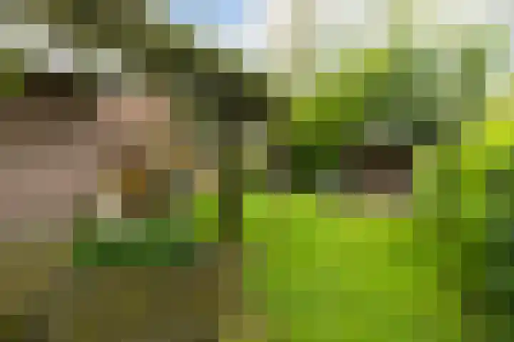 De Zeilen 67 Buitenpost foto 2