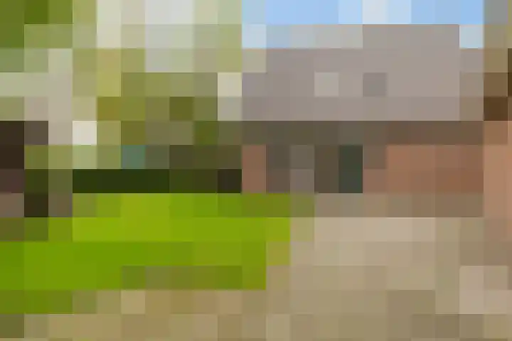 De Zeilen 67 Buitenpost thumbnail 20