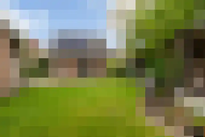 De Zeilen 67 Buitenpost thumbnail 21
