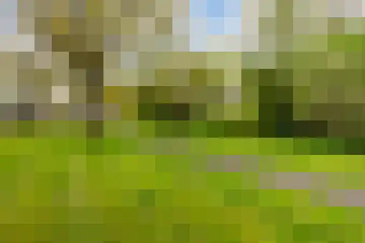 De Zeilen 67 Buitenpost thumbnail 22