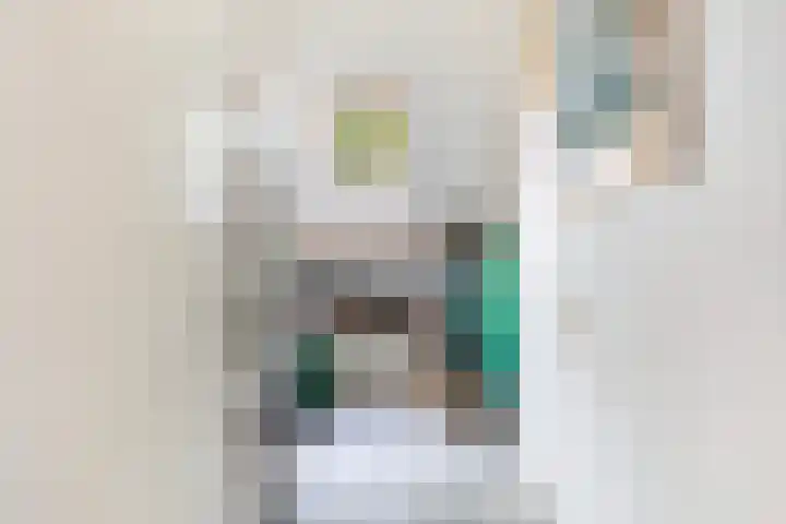 De Zeilen 67 Buitenpost thumbnail 28