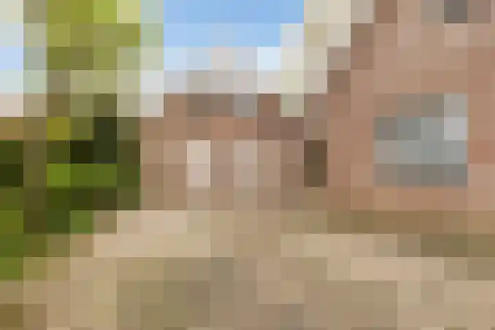De Zeilen 67 Buitenpost foto 3