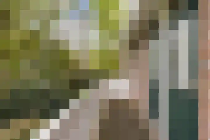 De Zeilen 67 Buitenpost thumbnail 35