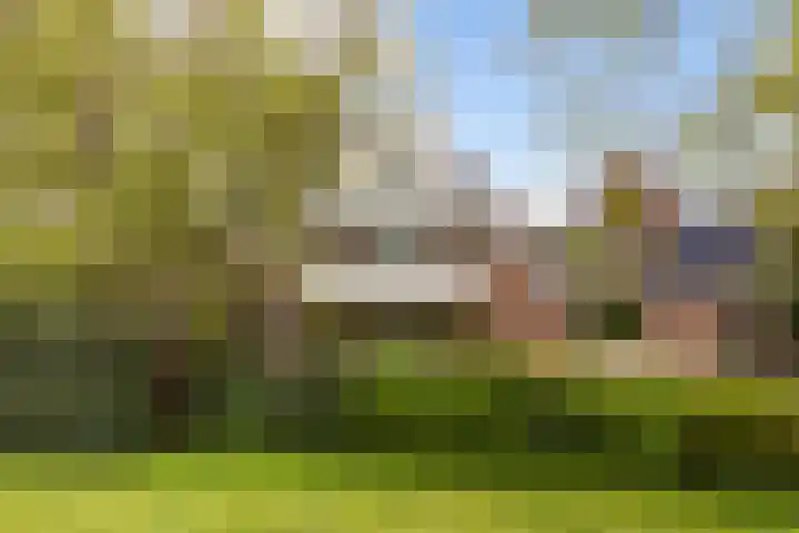 De Zeilen 67 Buitenpost thumbnail 4