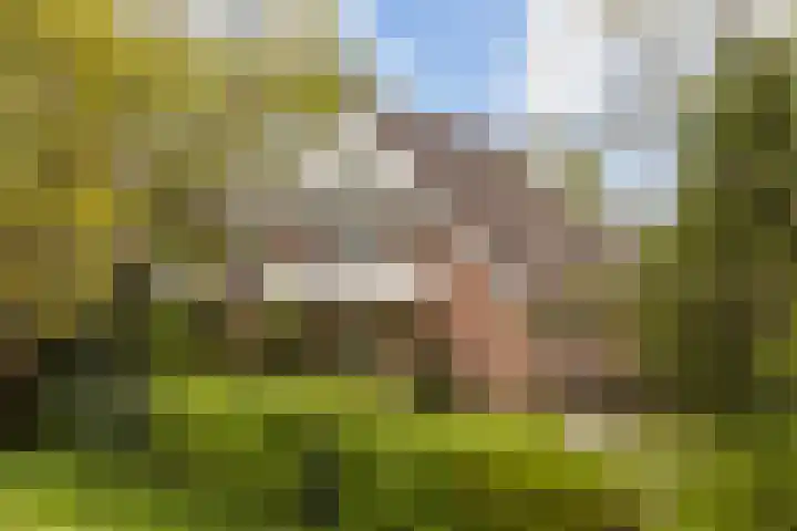 De Zeilen 67 Buitenpost thumbnail 41