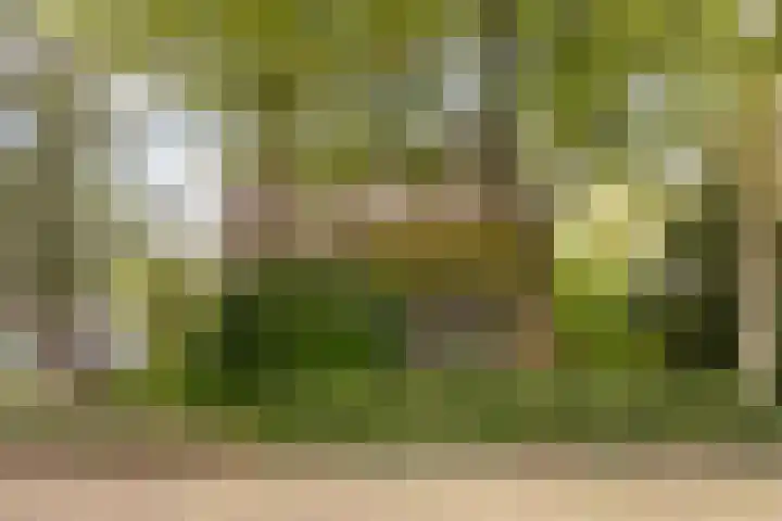 De Zeilen 67 Buitenpost thumbnail 42