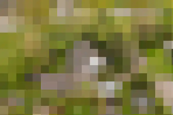 De Zeilen 67 Buitenpost thumbnail 43