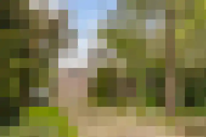 De Zeilen 67 Buitenpost thumbnail 44