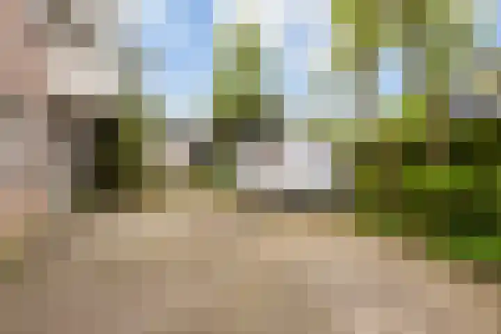 De Zeilen 67 Buitenpost thumbnail 45