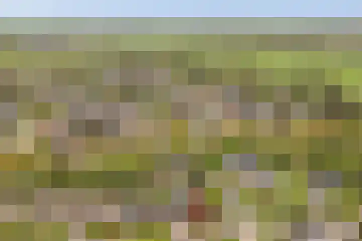 De Zeilen 67 Buitenpost thumbnail 46