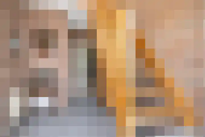 De Zeilen 67 Buitenpost thumbnail 5