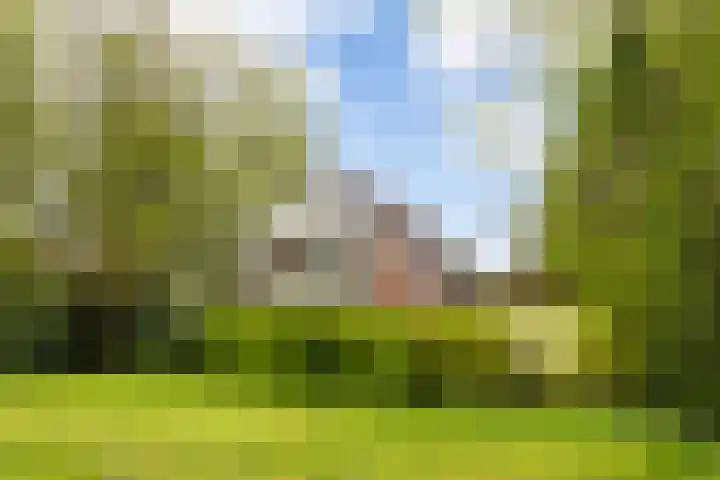 De Zeilen 67 Buitenpost thumbnail 56