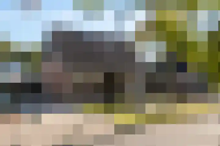 De Zeilen 7 dans Buitenpost