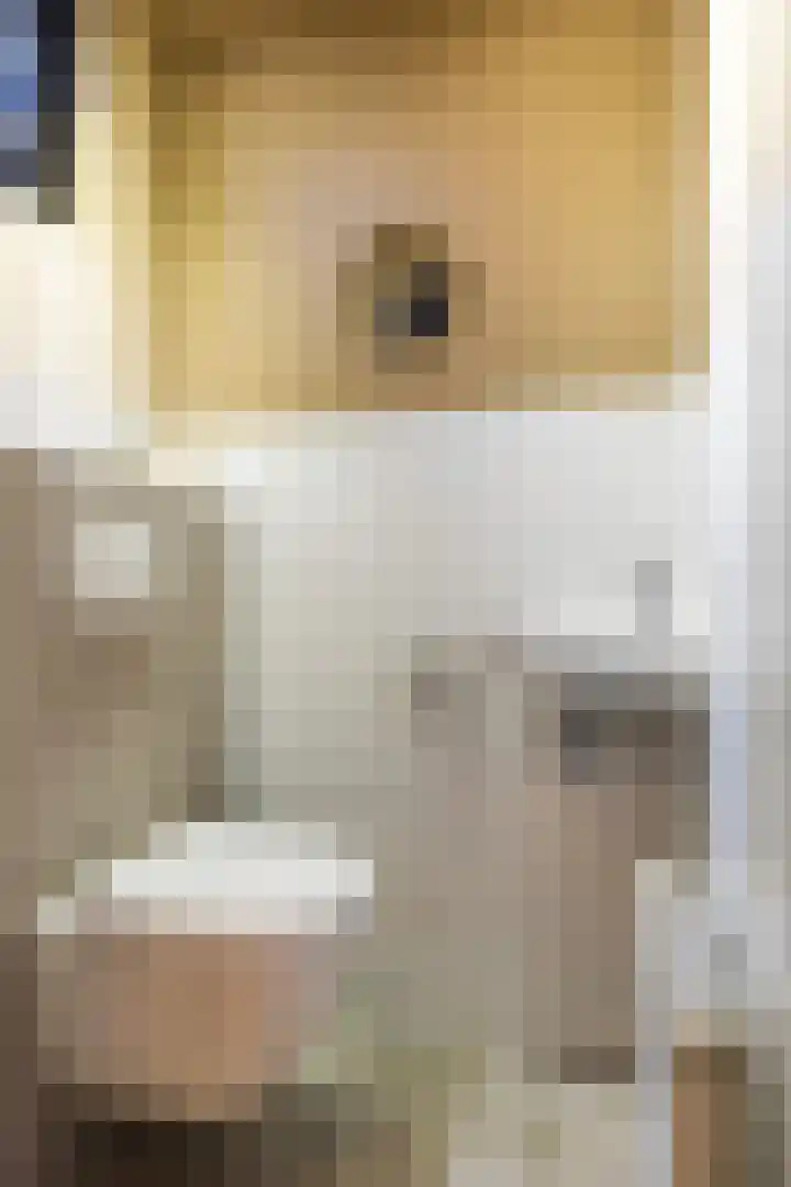 De Zeilen 7 Buitenpost thumbnail 12
