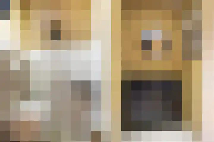 De Zeilen 7 Buitenpost thumbnail 13