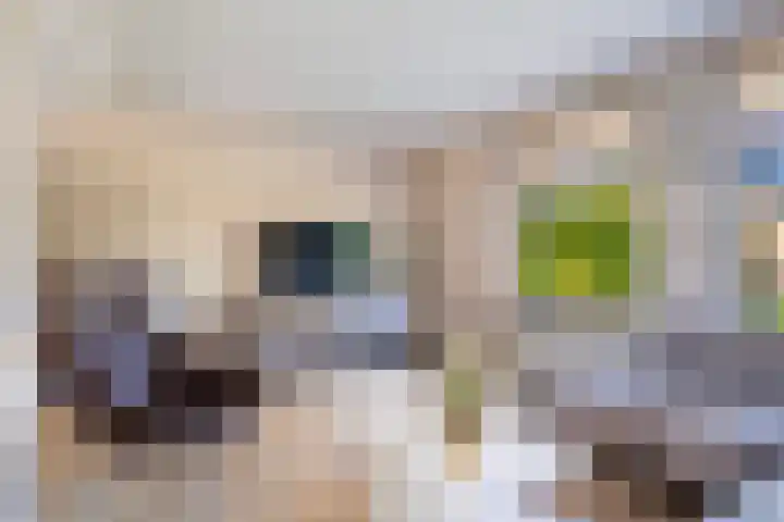 De Zeilen 7 Buitenpost thumbnail 15