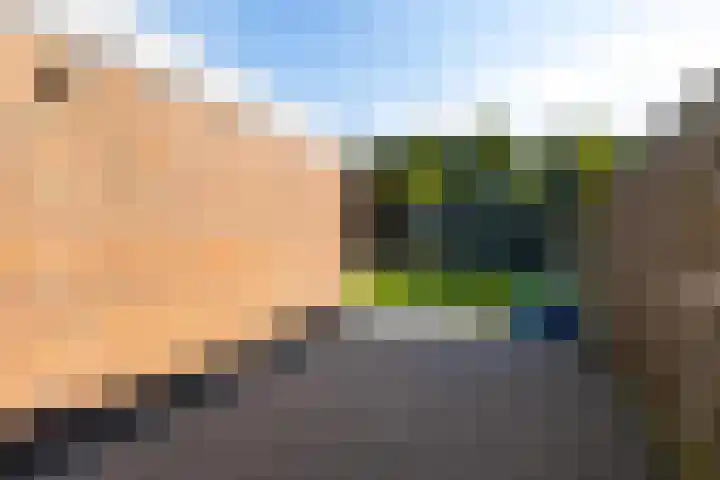 De Zeilen 7 Buitenpost thumbnail 23