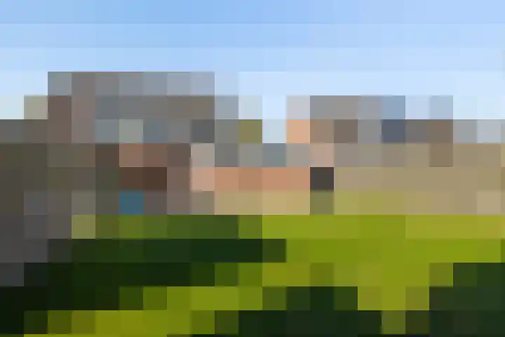 De Zeilen 7 Buitenpost thumbnail 25