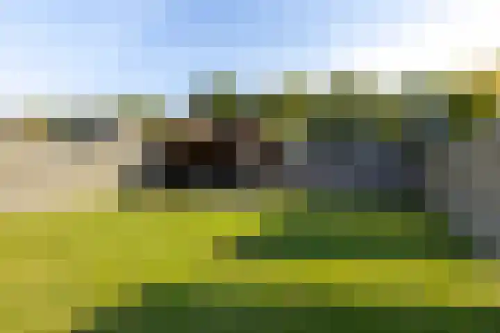 De Zeilen 7 Buitenpost foto 3