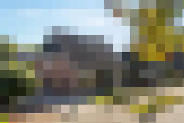 De Zeilen 7 Buitenpost thumbnail 39