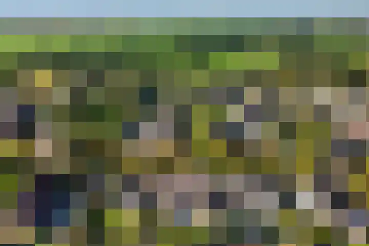 De Zeilen 7 Buitenpost thumbnail 41