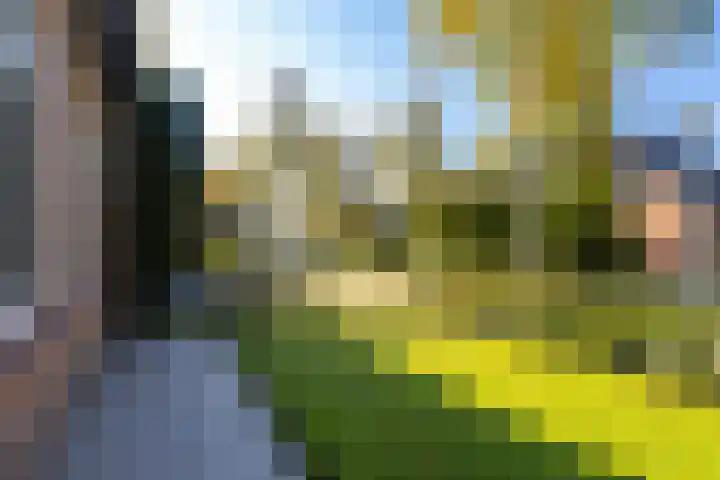 De Zeilen 7 Buitenpost thumbnail 8