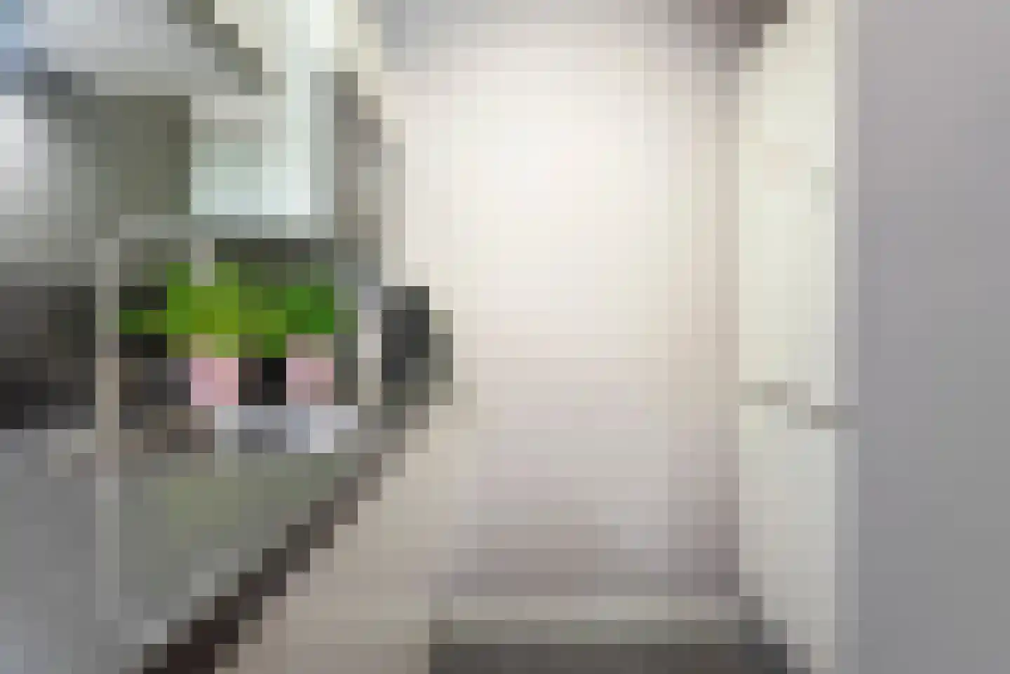 De Zeiler 120 Velserbroek thumbnail 6
