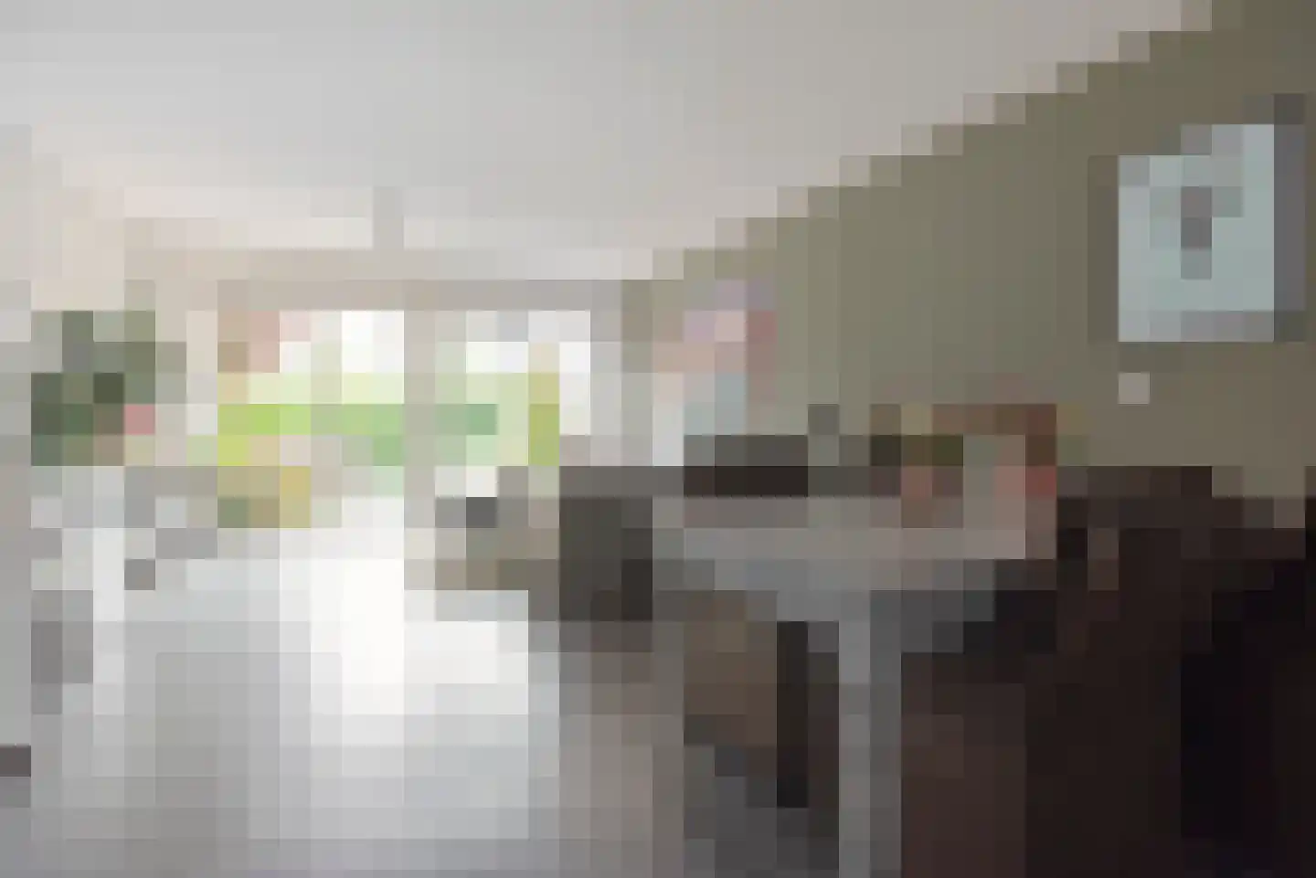 De Zeiler 120 Velserbroek thumbnail 7