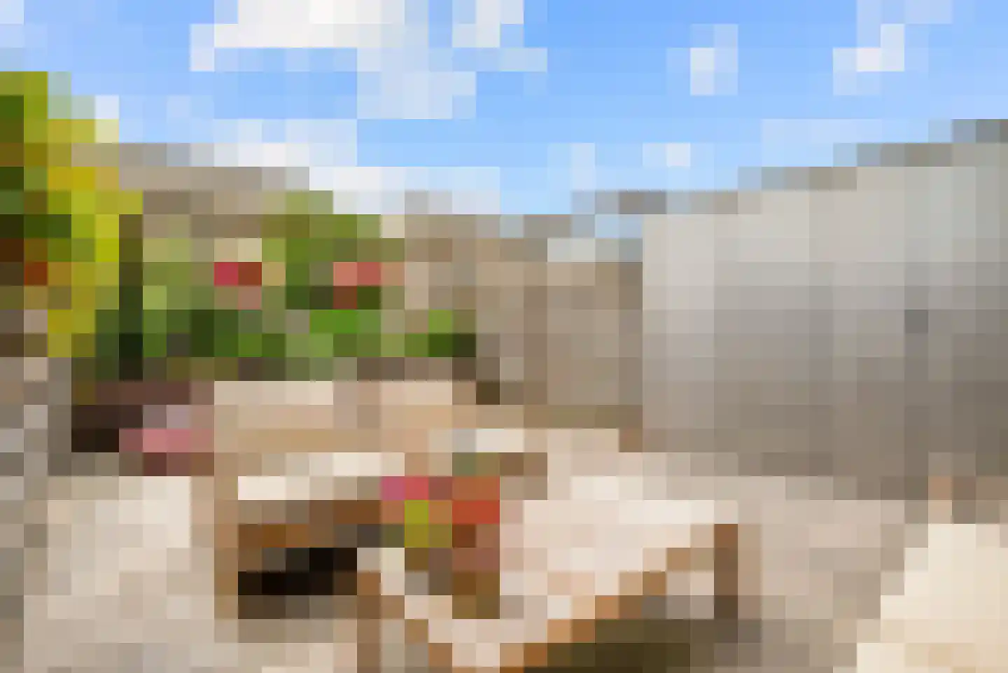 De Zeiler 136 Velserbroek thumbnail 25