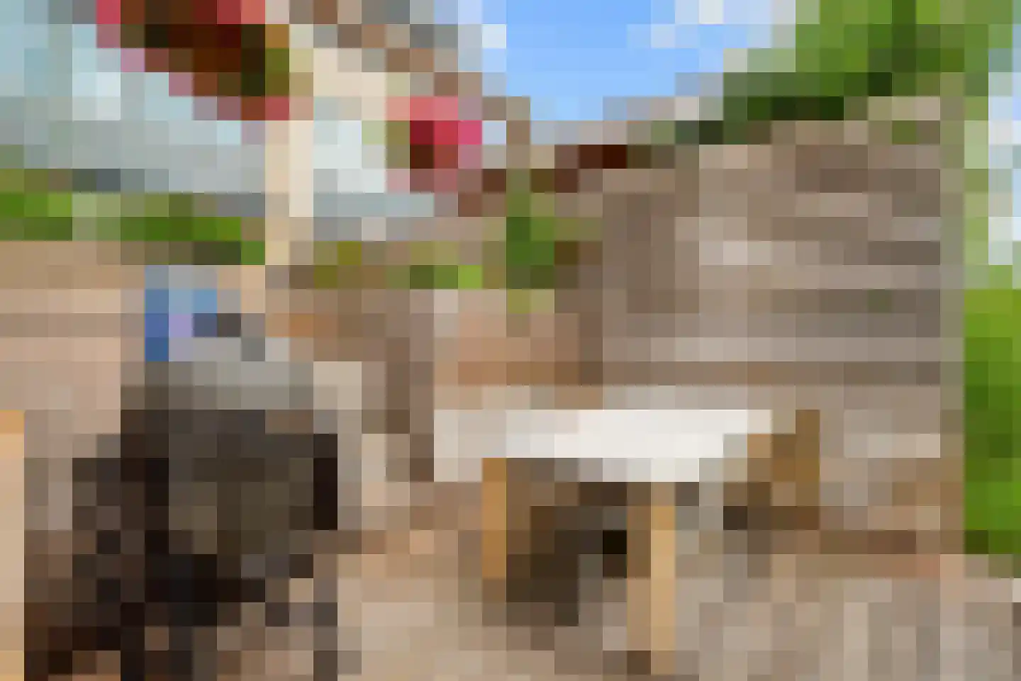 De Zeiler 136 Velserbroek thumbnail 30